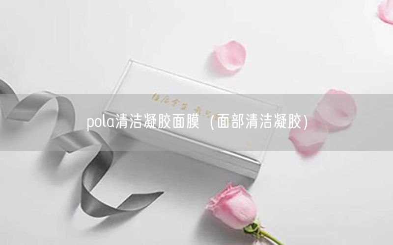 pola清洁凝胶面膜（面部清洁凝胶）